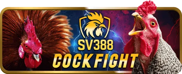 Hoàn Trả Không Giới Hạn Sunwin20 Win